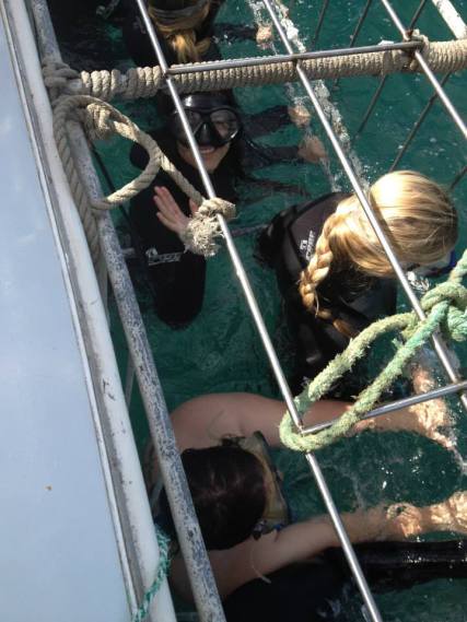 10174968_718357738209366_1865018330_n (1)