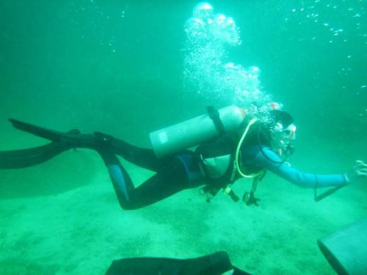 13662088_1191429280902207_7175691398332880943_o