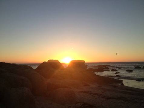 1507953_718365118208628_181620718_n