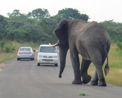 29416735_124894528355868_6750114080071090176_n(1)