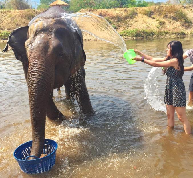 12715644_1090437004334769_4704336546585543877_n