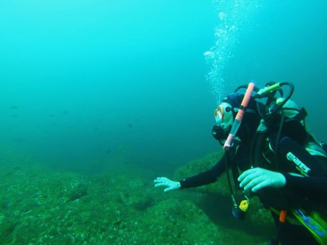 13692448_1199592680085867_87850344934219580_n (1)